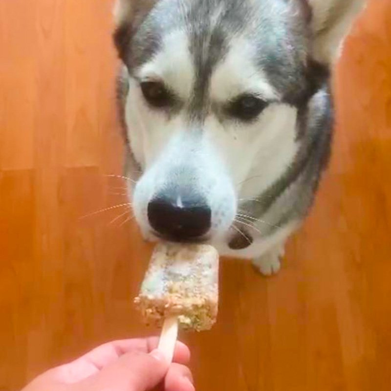 Peyitos_Aliento_Natural_para_perros_reviews_g2