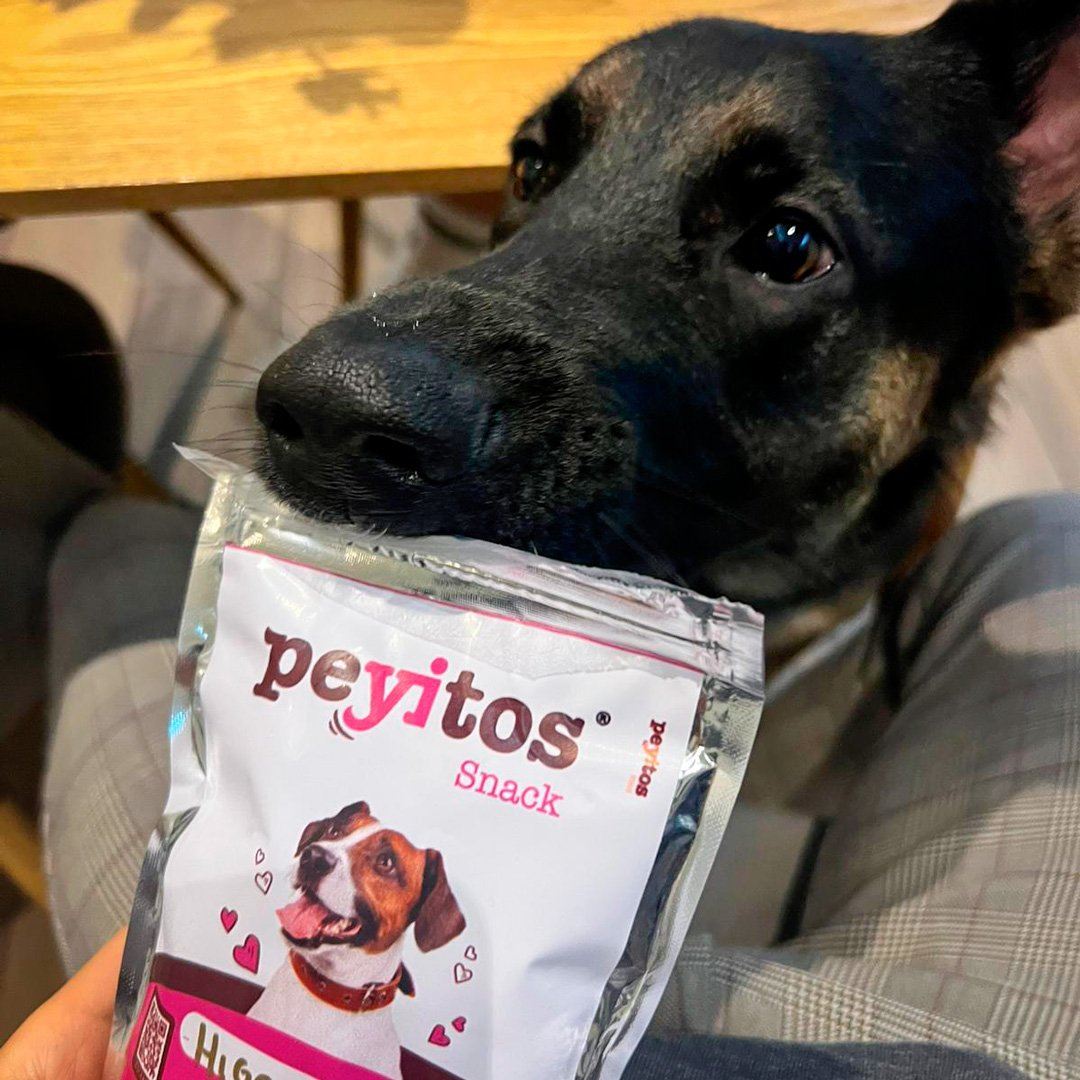 Peyitos_Alimento_nutritivo_para_perros_contacto